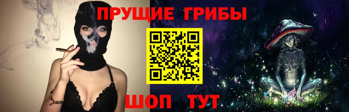 Красноуфимск  Псилоцибиновые грибы MAGIC MUSHROOMS  Вход с VPN 